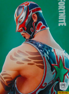 Masked Fury